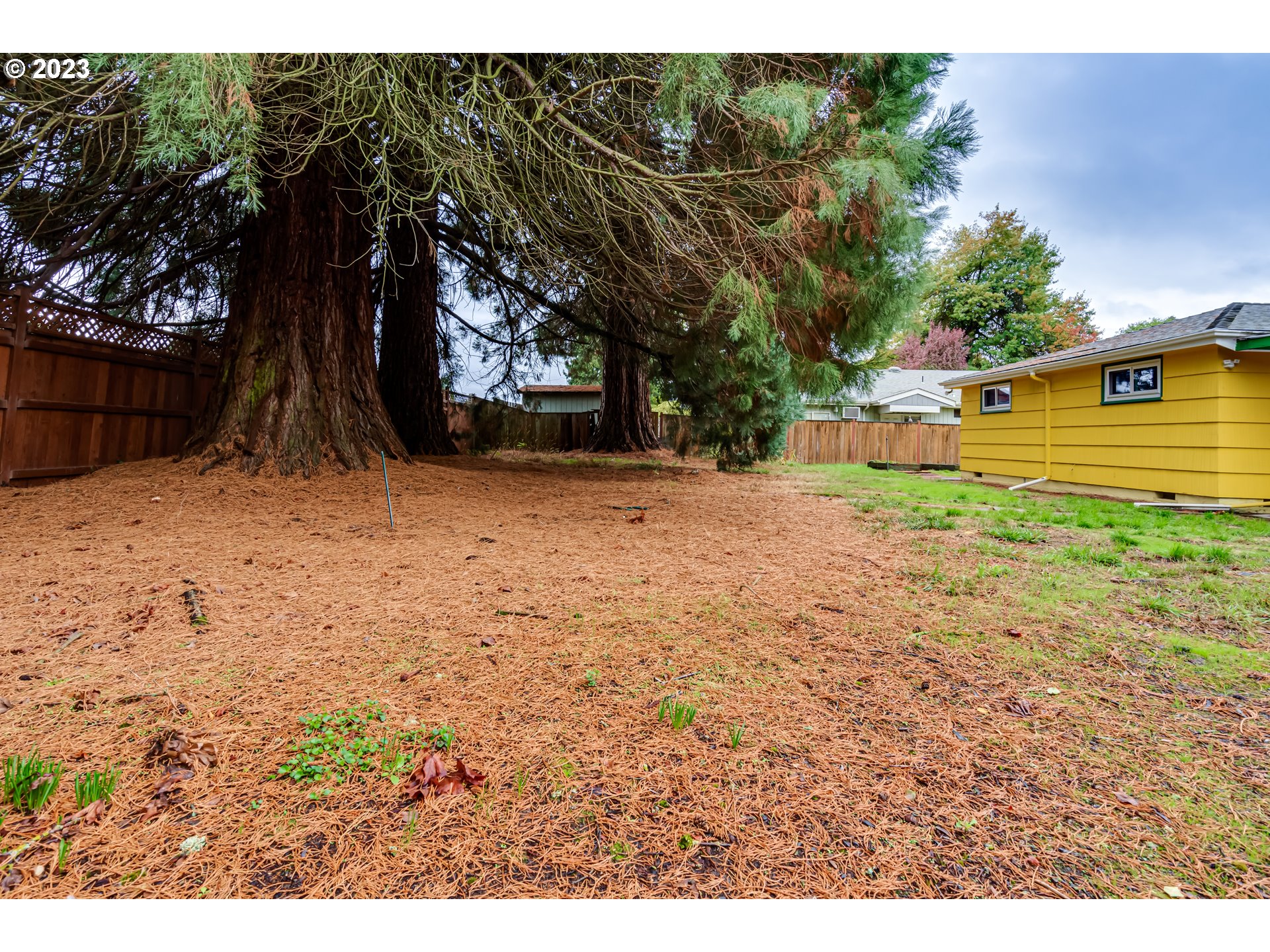 959 Laurelhurst Drive Eugene, OR 97402 - Photo 28 of 30 a backyard of a house with lots of green space
