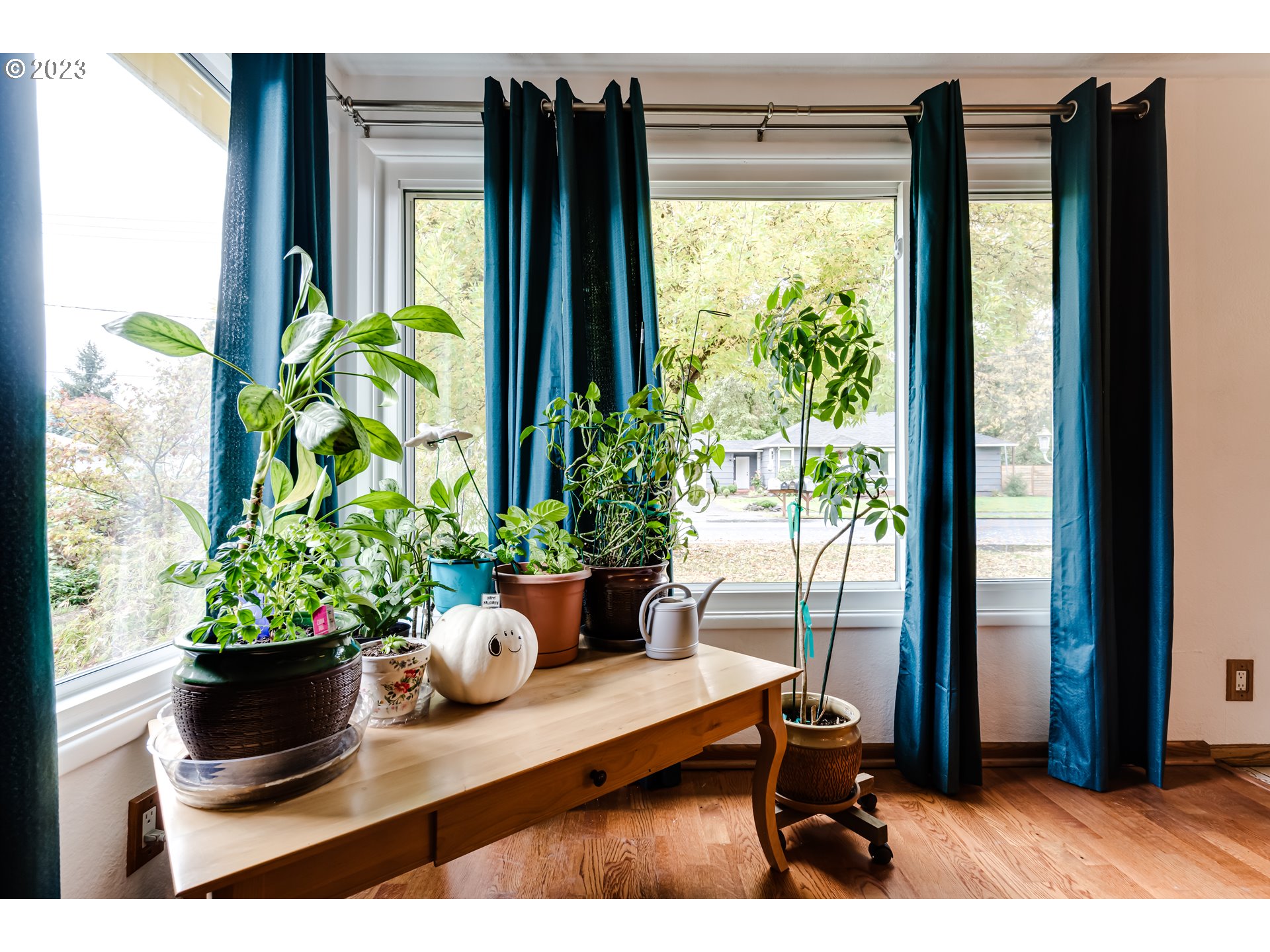 959 Laurelhurst Drive Eugene, OR 97402 - Photo 7 of 30 a view of a workspace with furniture and a potted plant