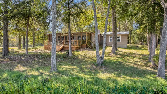 a view of a backyard with potted plants and large tree