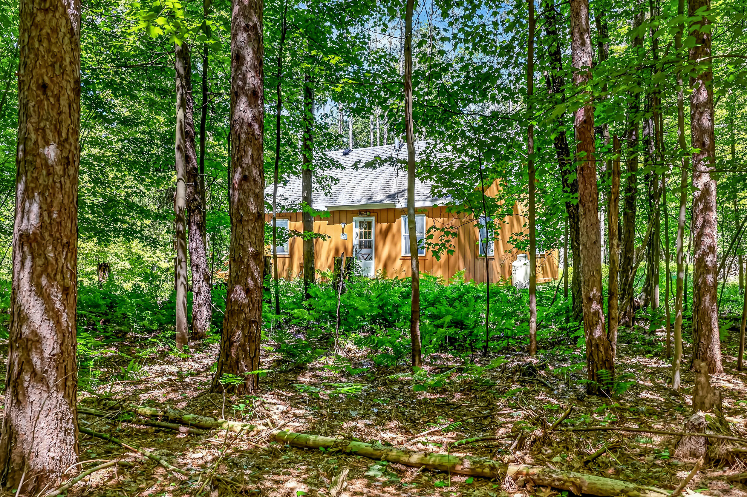 3821 West Baseline Road White Cloud, MI 49349 - Photo 53 of 53 3821 w baseline-50