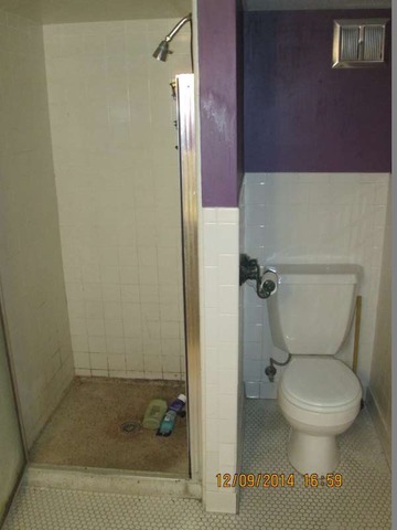 315 Selborne Road Riverside, IL 60546 - Photo 19 of 22 a bathroom with a toilet and a shower