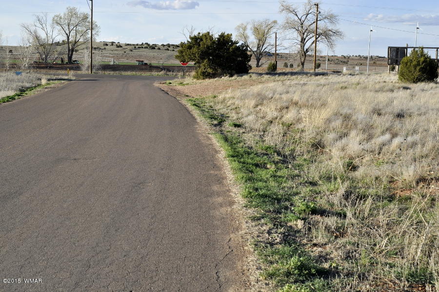 3.78-ac Paper Mill Road Taylor, AZ 85939 - Photo 3 of 8
