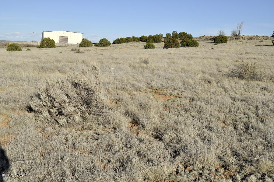3.78-ac Paper Mill Road Taylor, AZ 85939 - Photo 4 of 8