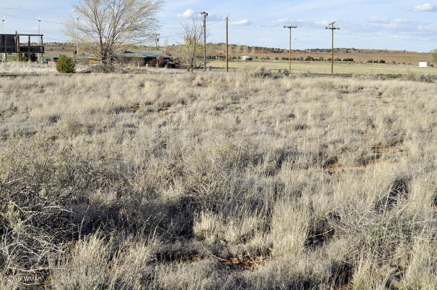 3.78-ac Paper Mill Road Taylor, AZ 85939 - Photo 6 of 8