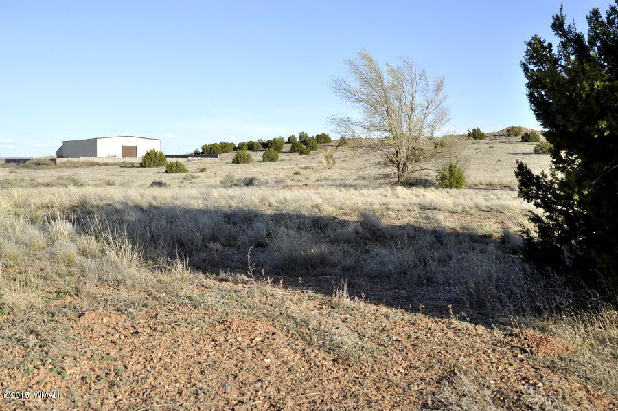3.78-ac Paper Mill Road Taylor, AZ 85939 - Photo 8 of 8