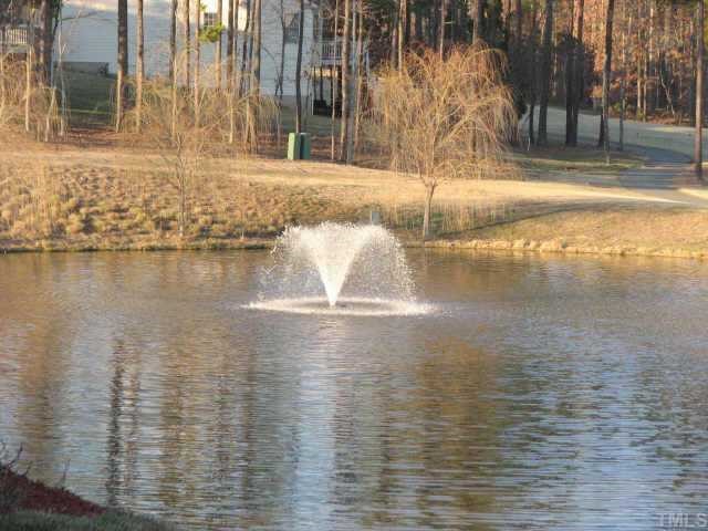 9012 Winged Thistle Court Raleigh, NC 27617 - Photo 11 of 12 The lake behind the home features a relaxing fountain