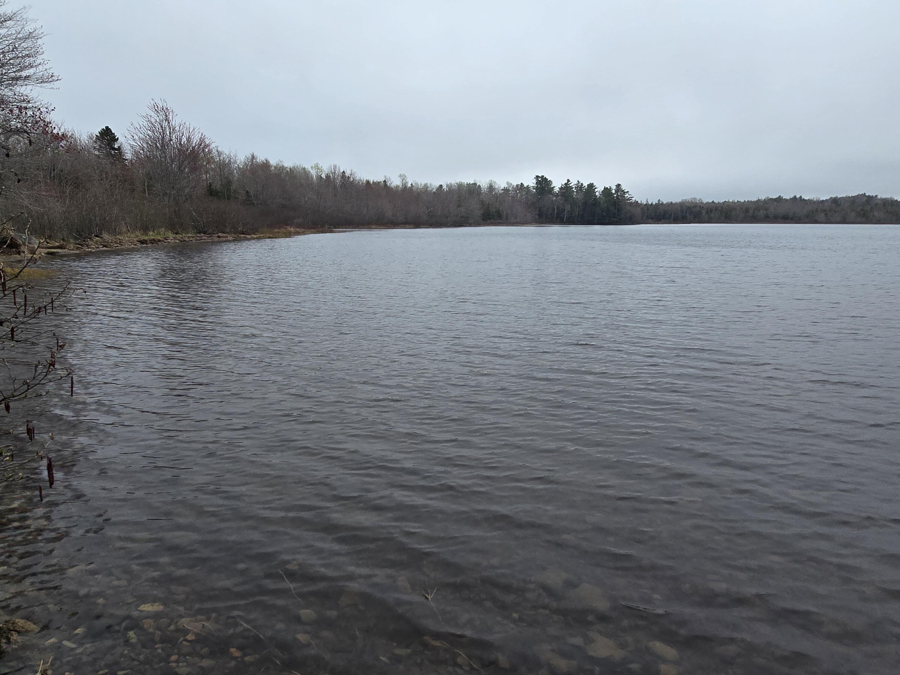 Lot D Lot D Deer Point Road Robbinston, ME 04671 - Photo 17 of 21 20250507_131347