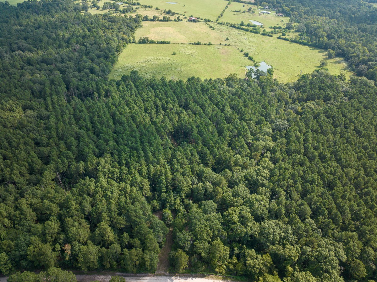a view of a yard of a building