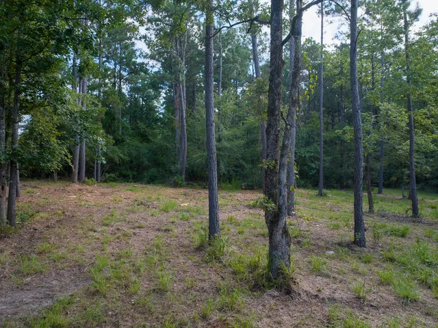 a backyard of a house