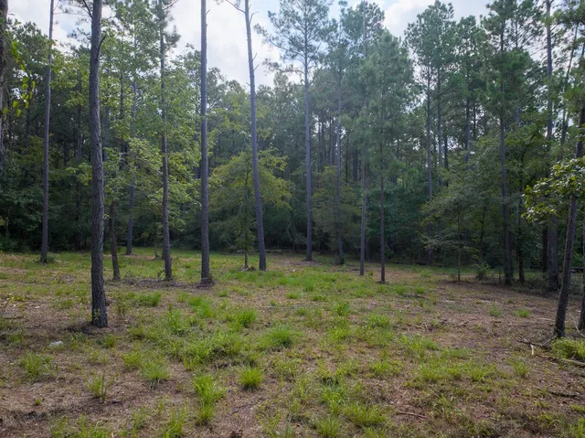 a view of outdoor space with green field and trees