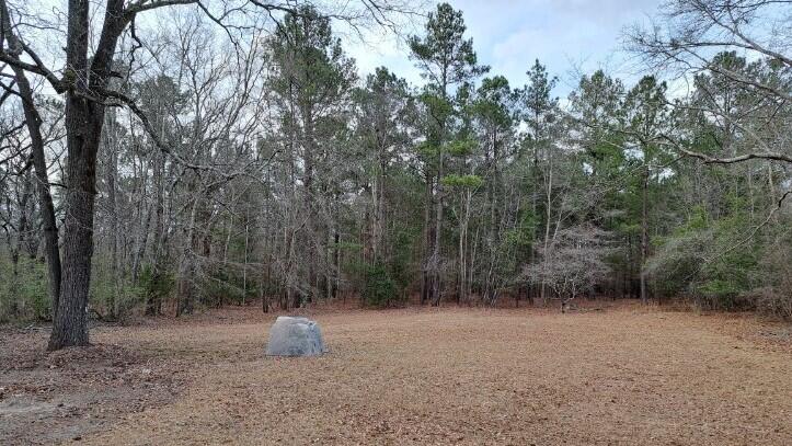 1845 St Matthews Road Swansea, SC 29160 - Photo 22 of 23