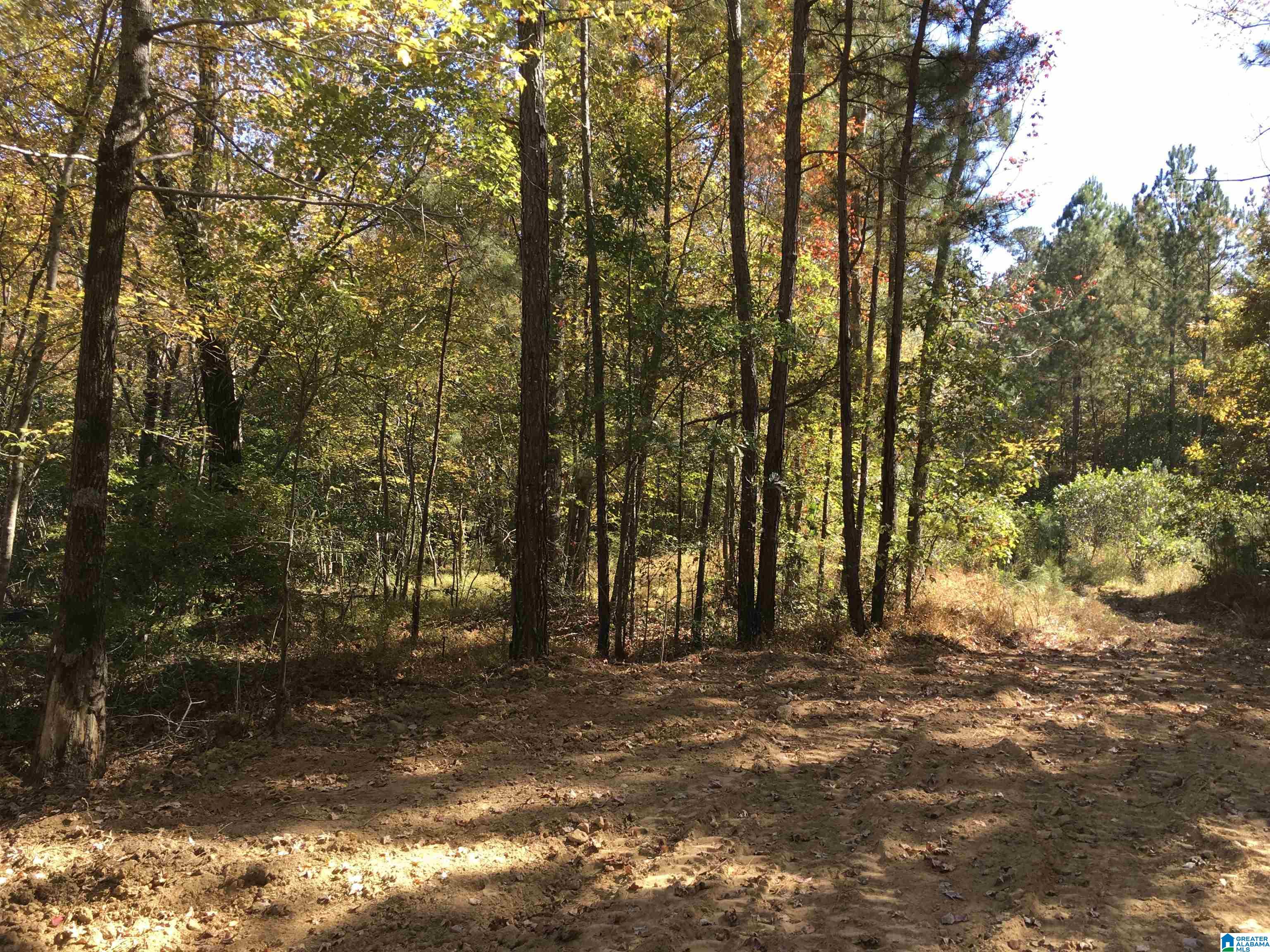 8760 Marsh Mountain Road, Unit 223 Pinson, AL 35126 - Photo 34 of 51