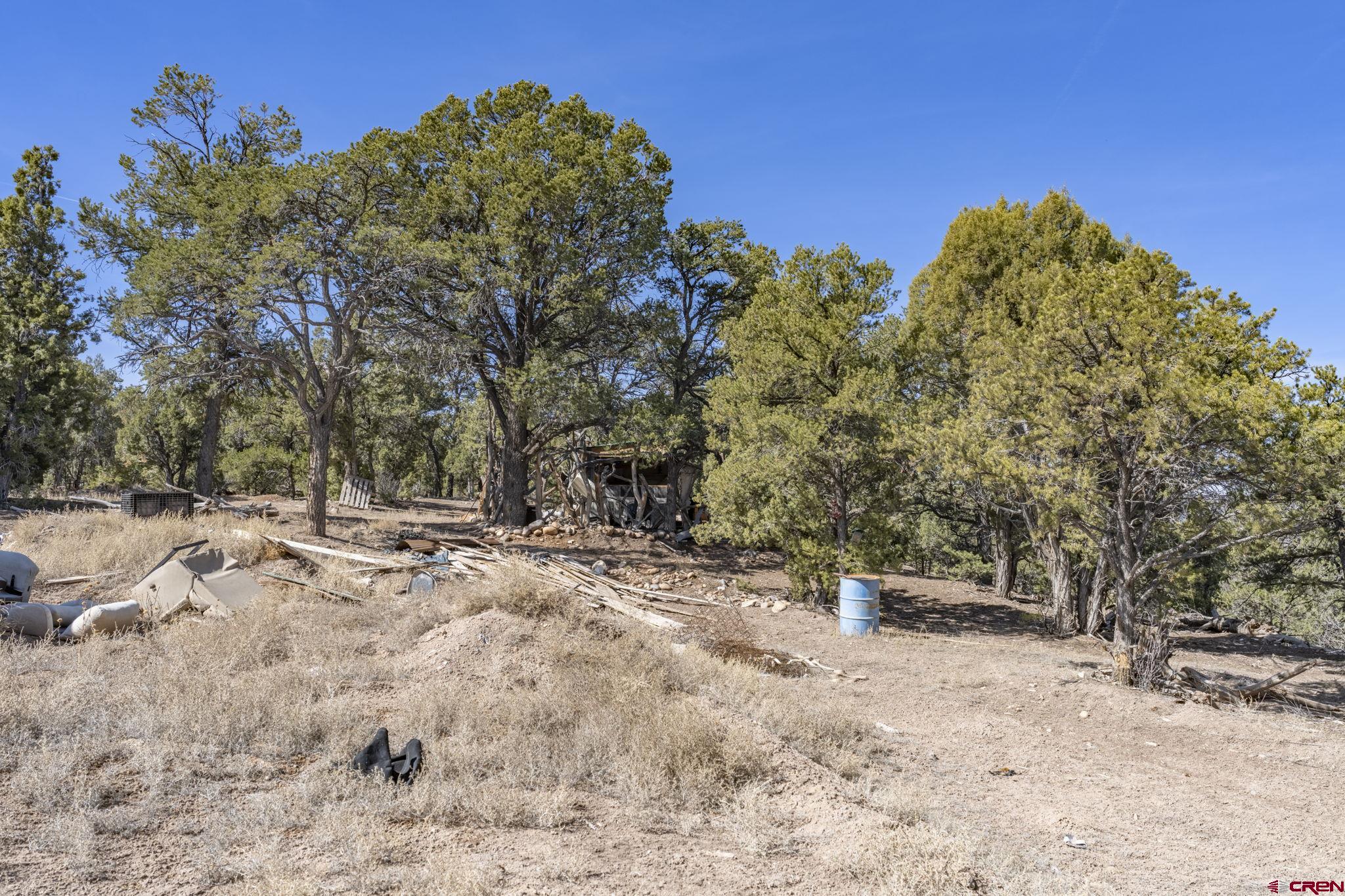 719 Rancho Durango Road Durango, CO 81303 - Photo 21 of 35 a view of outdoor space with trees