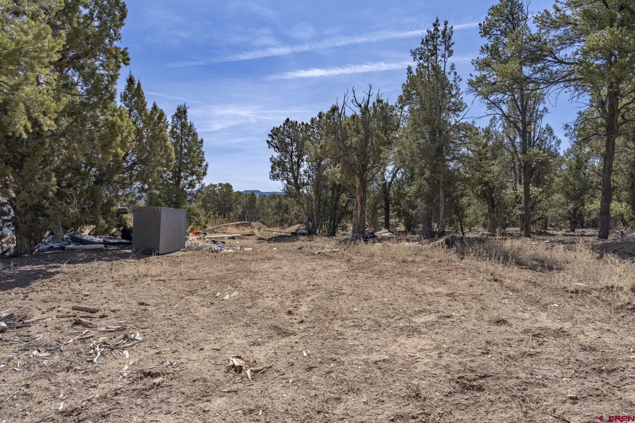 719 Rancho Durango Road Durango, CO 81303 - Photo 22 of 35 a view of outdoor space with trees