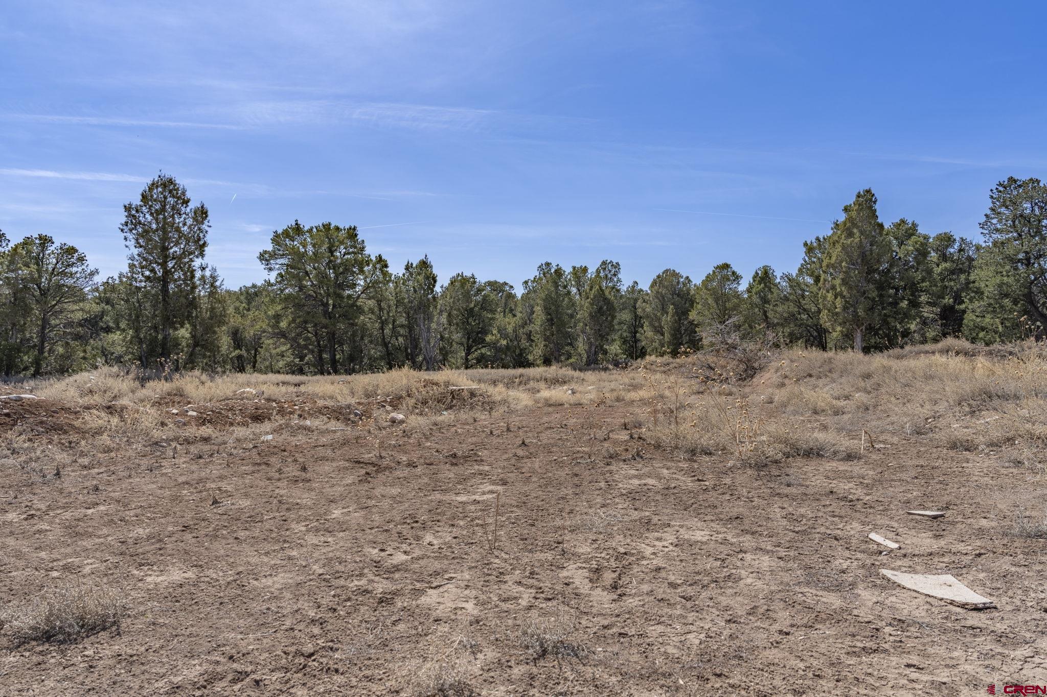 719 Rancho Durango Road Durango, CO 81303 - Photo 23 of 35 a view of a dry yard with trees in the background