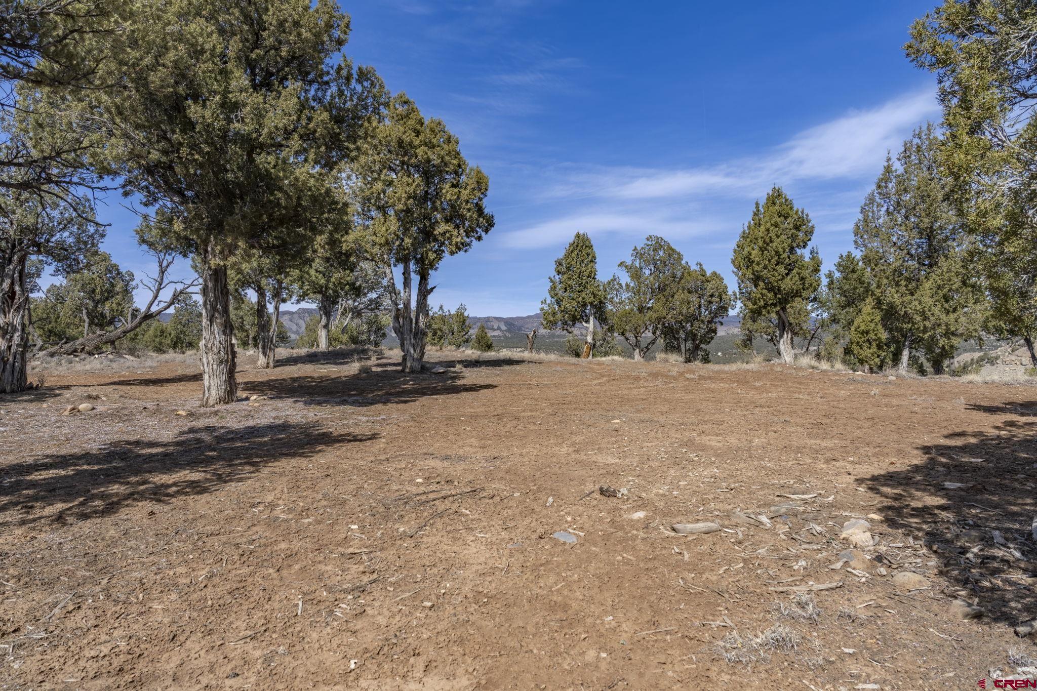 719 Rancho Durango Road Durango, CO 81303 - Photo 3 of 35 a view of road with large trees