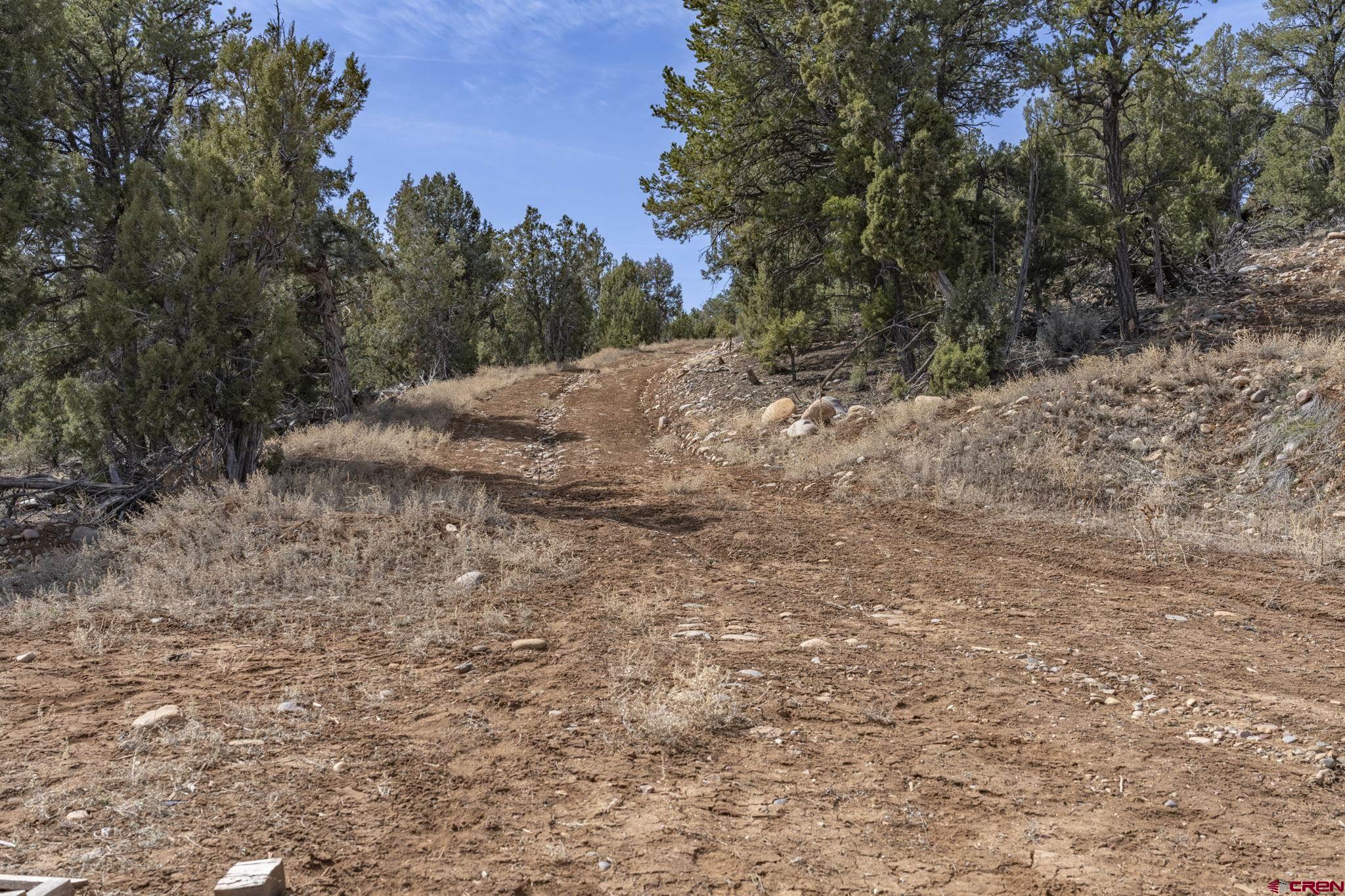 719 Rancho Durango Road Durango, CO 81303 - Photo 5 of 35 a view of a dry yard with trees in the background