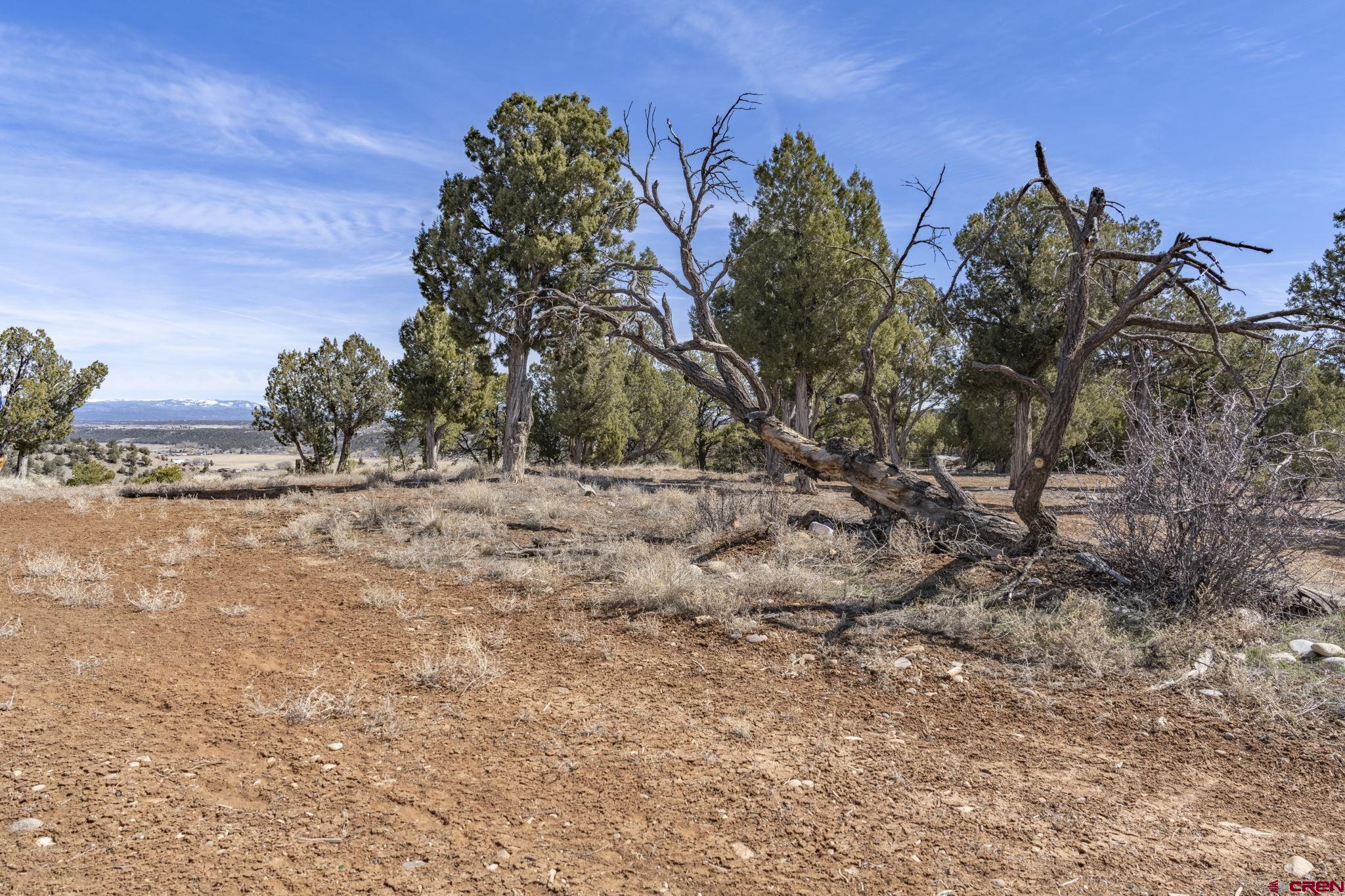 719 Rancho Durango Road Durango, CO 81303 - Photo 8 of 35 a view of a yard with a tree