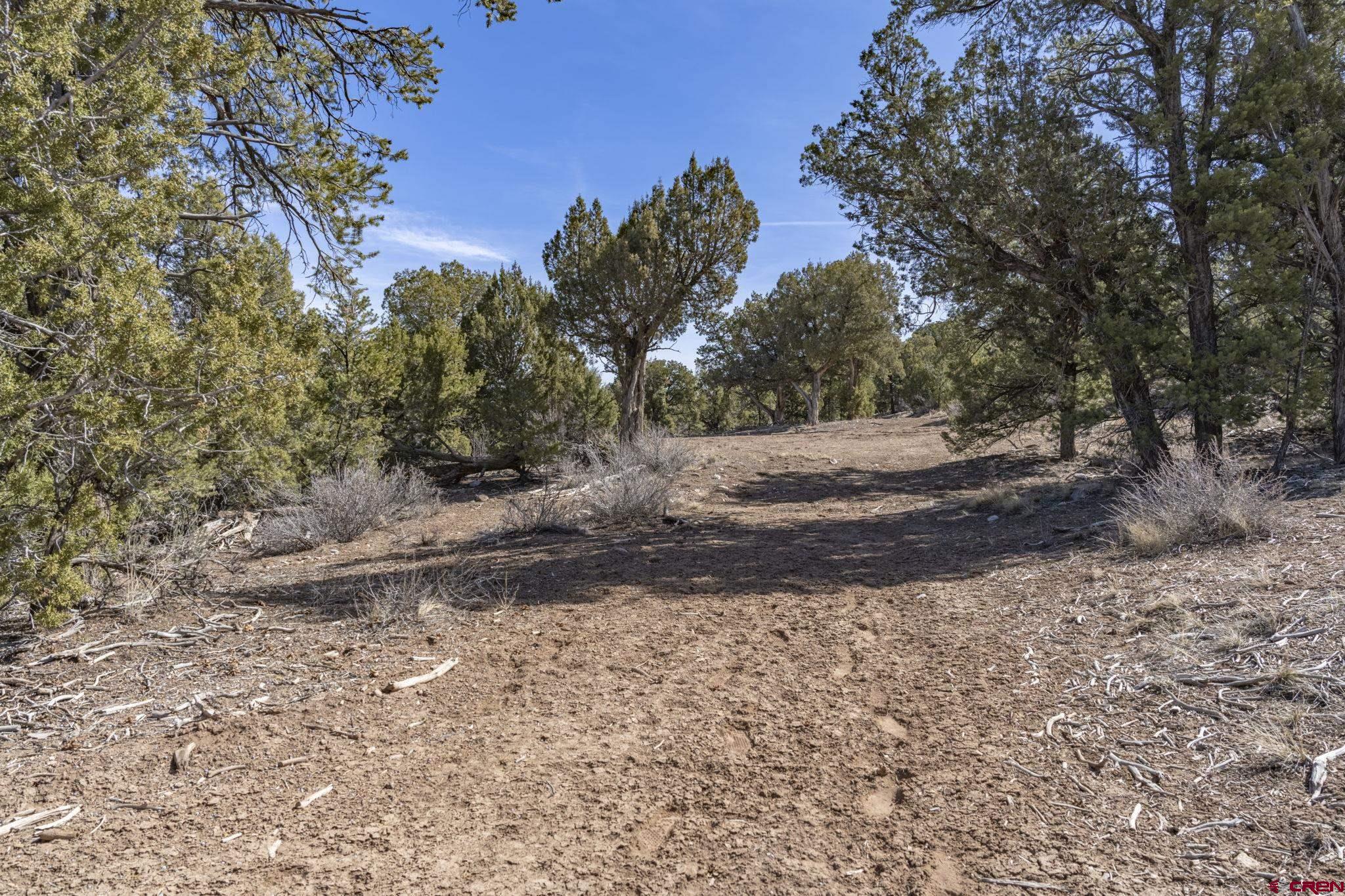 719 Rancho Durango Road Durango, CO 81303 - Photo 10 of 35 a backyard of a house with lots of green space