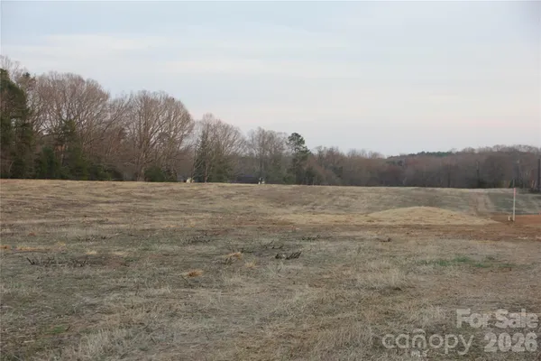 a view of a field with trees in the background