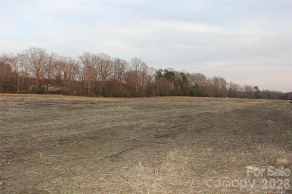 a view of a field with trees in background