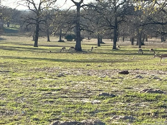 $135,000 | 445 Powder, Luling, TX 78648