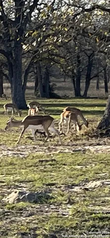 $135,000 | 445 Powder, Luling, TX 78648