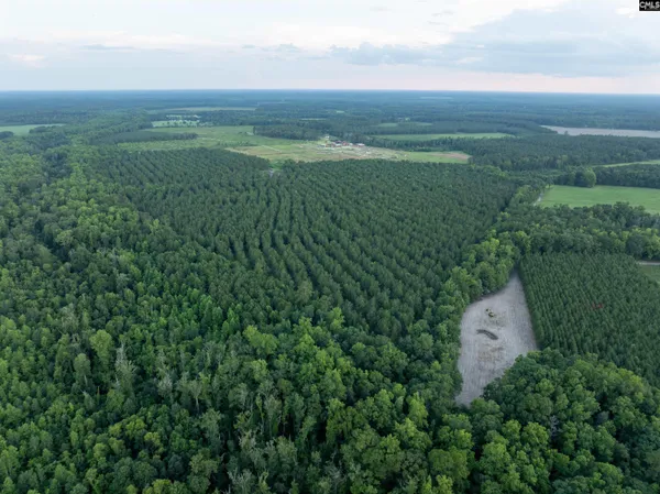 $700,000 | 0 Rizer Cemetery Road, Ehrhardt, SC 29081