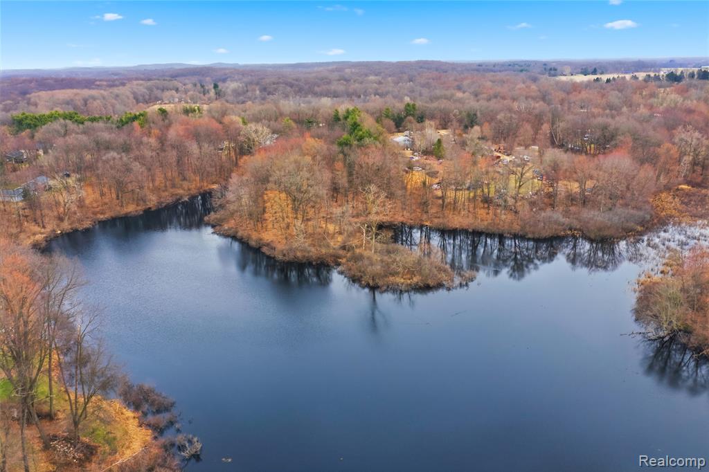 5350 List Road Grass Lake, MI 49240 - Photo 66 of 71