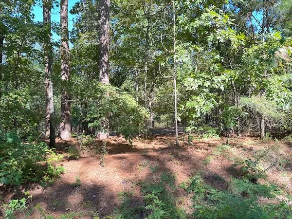 $49,000 | A Acorn Lane, Santee, SC 29142