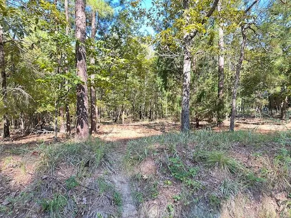 $49,000 | A Acorn Lane, Santee, SC 29142