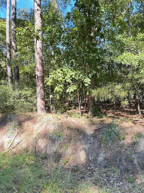 A Acorn Lane Santee, SC 29142 - Photo 8 of 9 End of Lot B, Acorn Ln