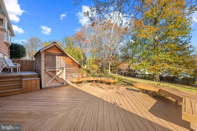 a view of a yard with plants and large trees