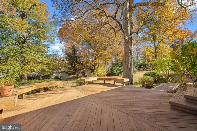 a view of a garden with a trees