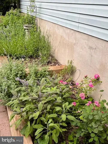 a view of house with a yard and potted plants