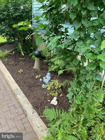 a view of a backyard with plants