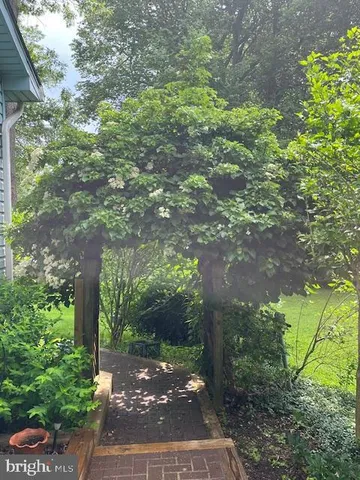 a view of a garden with a fountain