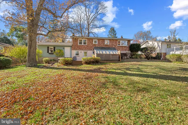 a view of a yard with plants and large trees