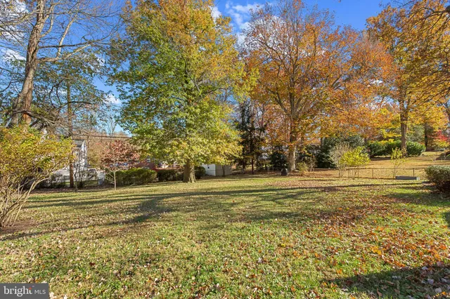a view of a garden with a lake