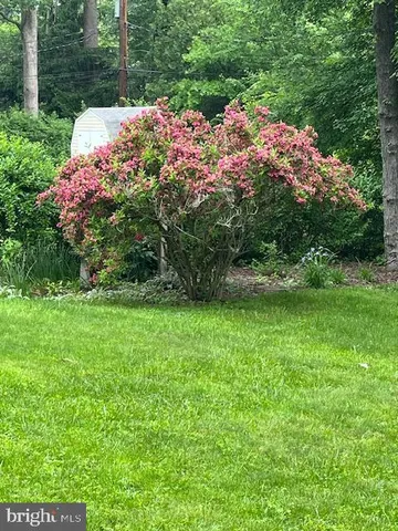 a view of a flower in a backyard of a house