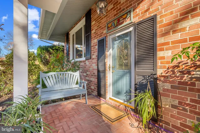 a plant that is in middle of garden