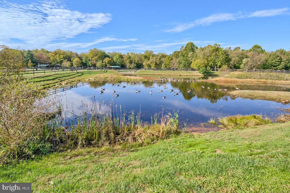 4798 Hiteshow Drive Frederick, MD 21703 - Photo 44 of 51