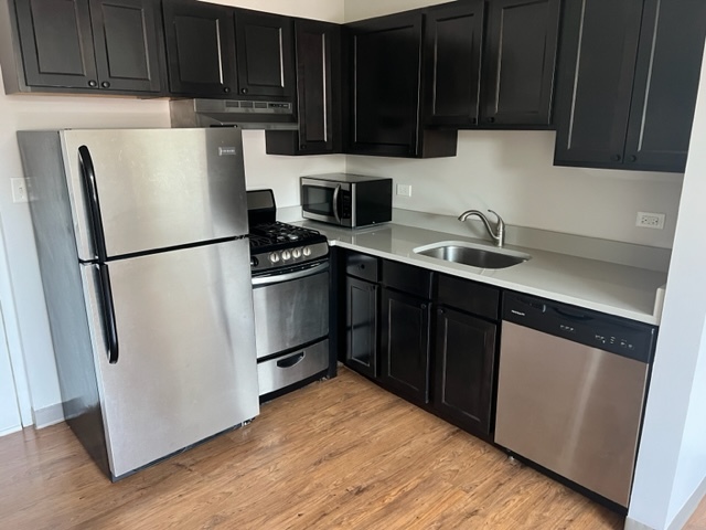 720 Crescent Street, Unit 111 Wheaton, IL 60187 - Photo 2 of 4 a kitchen with a sink a refrigerator and cabinets