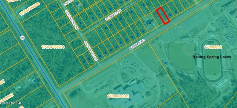 L-38 Cougar Road Southport, NC 28461 - Photo 1 of 2 GIS Pic