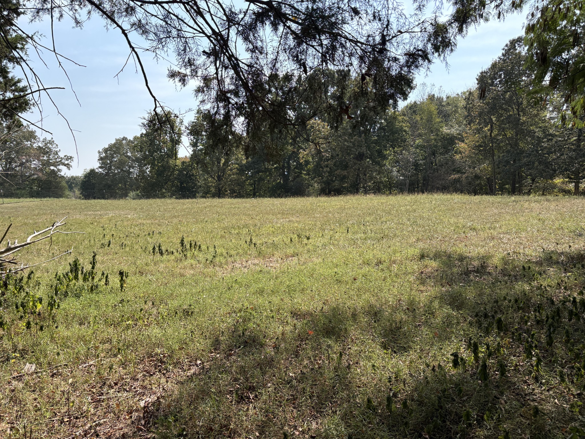 1663 Southside Road Southside, TN 37171 - Photo 57 of 59 a view of a yard