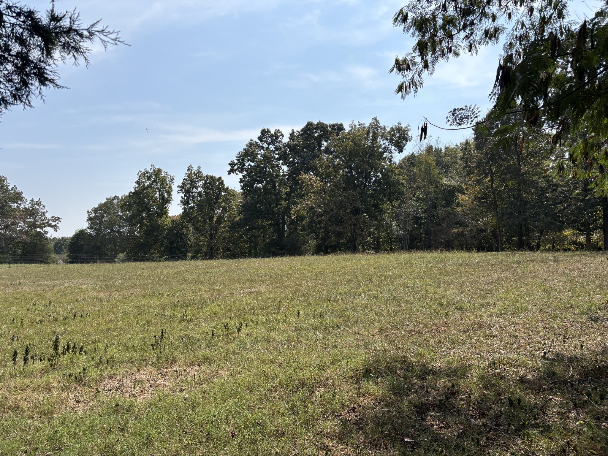1663 Southside Road Southside, TN 37171 - Photo 59 of 59 a view of a field with trees
