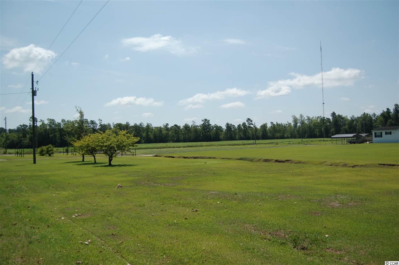 2262 Hughes Gasque Road Aynor, SC 29511 - Photo 5 of 40 Gallery Image 5