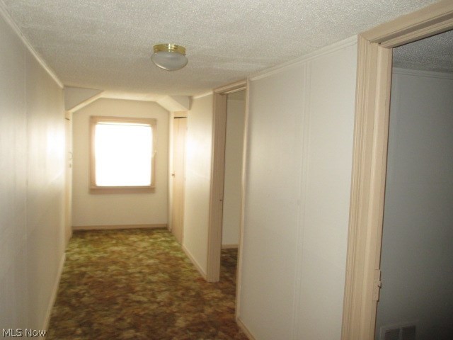 1613 Salt Springs Road Youngstown, OH 44509 - Photo 24 of 27