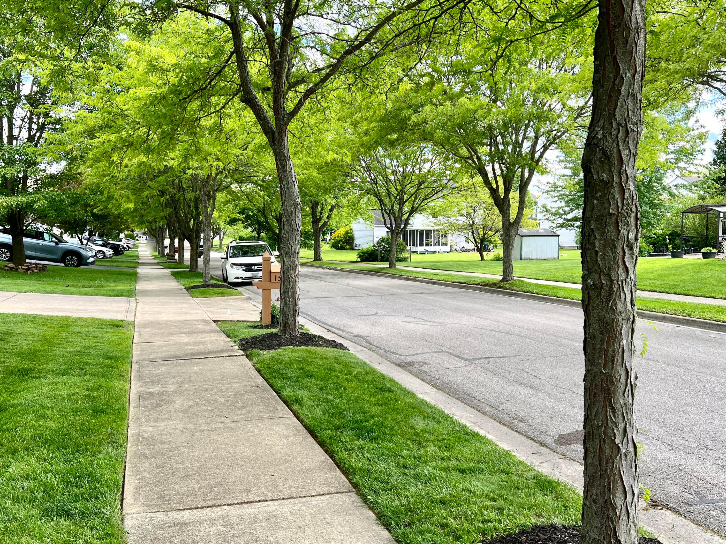 160 Kettering Bend Delaware, OH 43015 - Photo 49 of 49 This is your street... sidewalks, mature trees. Just .5 miles is the Lexington Glen park!