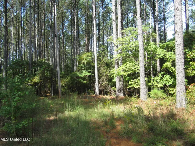 $25,000 | Pine Ridge Cove, Iuka, MS 38852